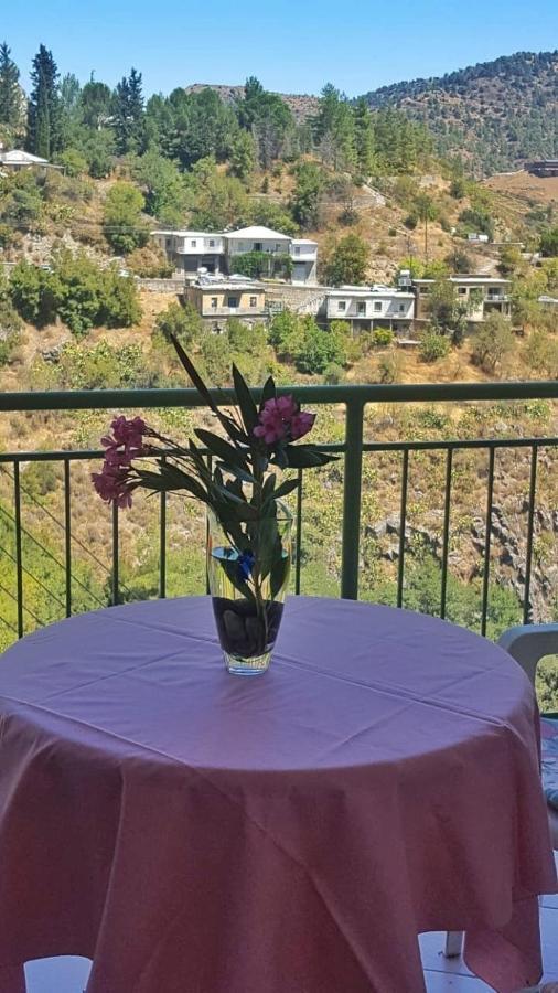 Moutoullas Mountain Views エクステリア 写真